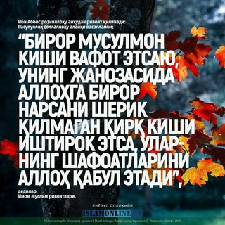 Логотип @namanganjanoza - Namangan JANOZA Наманган Жаноза