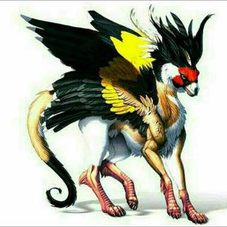 Логотип @namangansavabozori - NAMANGAN SAVA BOZORI-2020