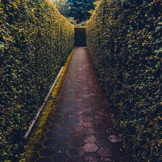 Логотип @namnuzhno123 - Al_Bostani Нам Нужно