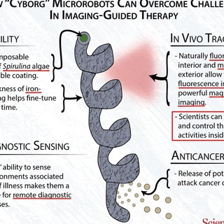 Логотип @nanoapi - 𝑴𝑶𝑹𝑮𝑬𝑳𝑳𝑶𝑵𝑺-𝑵𝑨𝑵𝑶𝑻𝑬𝑪𝑯𝑵𝑶𝑳𝑶𝑮𝑰𝑬 🐛🧐🛰📡💉
