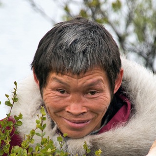 Логотип @naodich - НЕНЕЦКАЯ ДИЧЬ 🕊