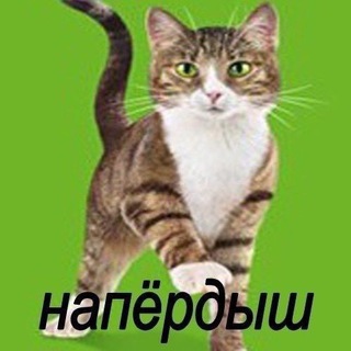 Логотип @naperdyshy - напёрдыши