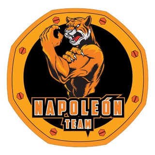 Логотип @napoleonteamgroup - Napoleon Team