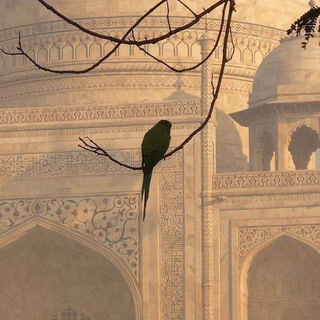 Логотип @napominaneee - 𝓝𝓪𝓹𝓸𝓶𝓲𝓷𝓪𝓷𝓲𝓮