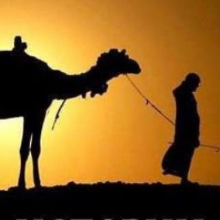 Логотип @napominanie_istoriya - ✨ • История сподвижников •