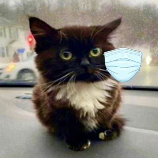 Логотип @naposte - На постироничах