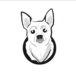 Логотип @napuzo - Napuzo, Футер Домодедово, кулирка, принты, купоны