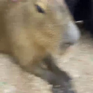 Логотип @narezki01 - Нарезки детей