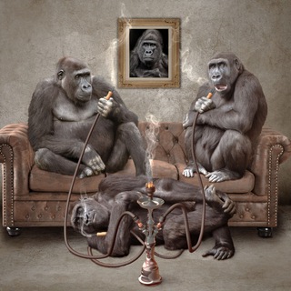 Логотип @nargilecim - Shisha & Hookah