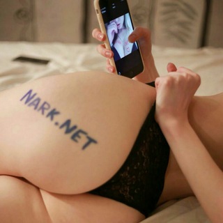 Логотип @narknetchat - Nark.Net