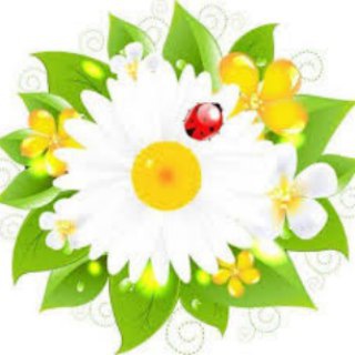 Логотип @narmedic - Советы народной медицины