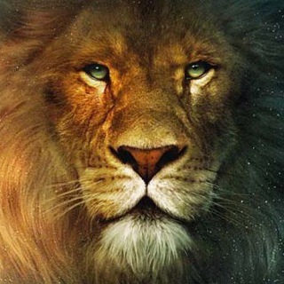 Логотип @narniacrypto - КриптоНарния