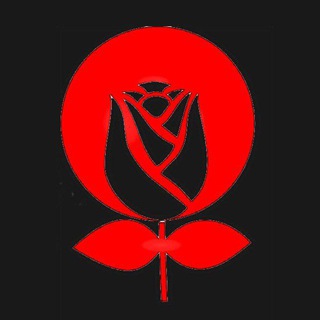 Логотип @narodnaya_hramada - НАРОДНАЯ ГРАМАДА || STATKEVICH