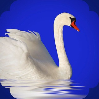 Логотип @narodnike - Родник 🇷🇺 | О Родине