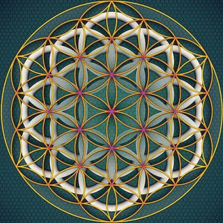 Логотип @narodniy_celitel - НаРодный Целитель ☘️