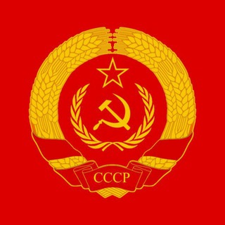 Логотип @narodsskchat - Народный совет СССР Ставрополь