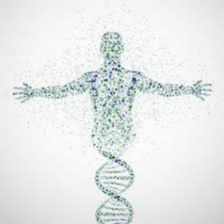 Логотип @nasche_zdor - Наше здоровье | Блог Алексеева