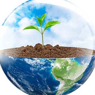 Логотип @nash_mir_today - Наш мир. Был. Есть. Будет.