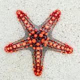 Логотип @nashazemlya2 - Это наша планета!