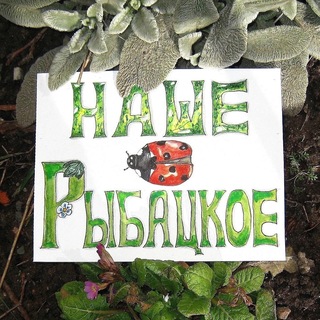 Логотип @nashe_rybatskoe - Наше Рыбацкое