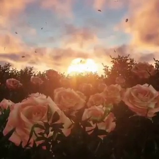 Логотип @nashi_svyatini - Благодарное сердце