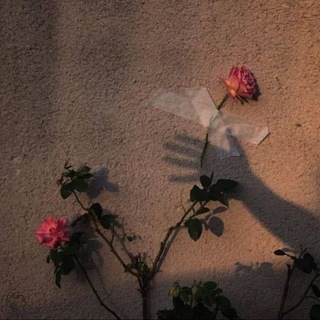 Логотип @nashid_koran2006 - Странник🥀