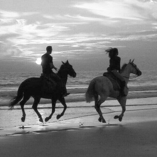 Логотип @nashisudbi - Наши судьбы🪽