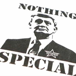 Логотип @nasingspesal - Насинг спешал