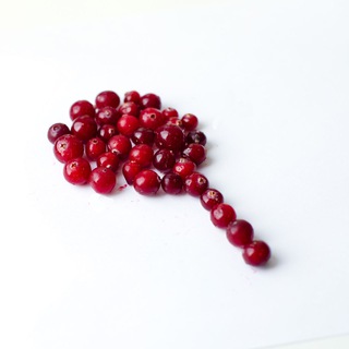 Логотип @nasladdin_chat - Nasladdin чат