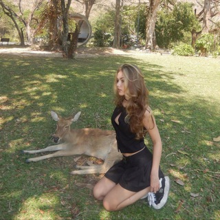 Логотип @nasshayvx - shynelax 🫶🏻🤍