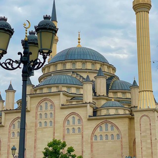 Логотип @nastavleniee - Наставление🕋📚