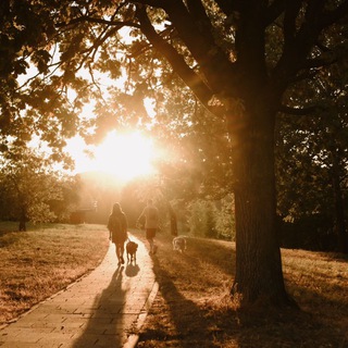 Логотип @nastiaizuymova - Кинолог Настя и два ретривера 🐶