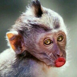 Логотип @nastroeni - Отличное настроение в течении дня +18