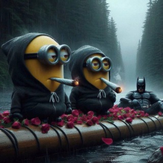 Логотип @nastya_meowww - отзывы клиентов