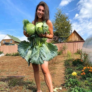 Логотип @nastydavai - ПолноЦЕННОЕ питание