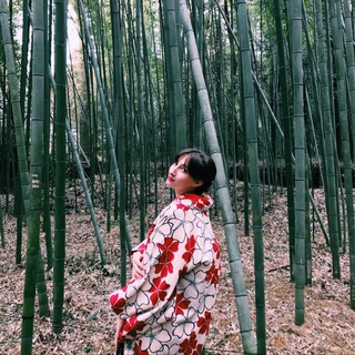 Логотип @natajp - Япония от Nata.jp