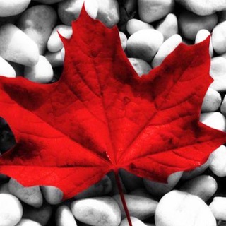 Логотип @nataliakuleshova - Английский для beginners