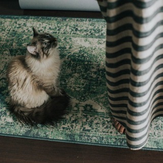 Логотип @natanet - Наташа и ее дела