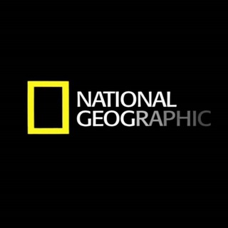 Логотип @natgeo_tg - National Geographic