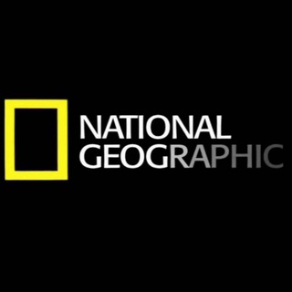 Логотип @natgeolife - National Geographic
