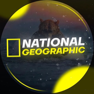 Логотип @nationai_geographic - National Geographic