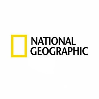 Логотип @national_geographichd - National Geographic