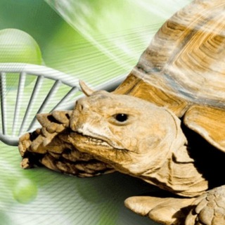 Логотип @national_therapy - national_therapy