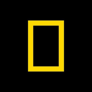 Логотип @nationalgeographicrus - National Geographic на Русском