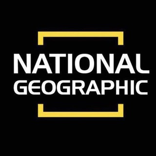 Логотип @nationgeographic1 - Nation geographic