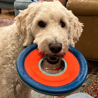 Логотип @nativeenglishlessons - English_with_Barry