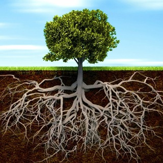 Логотип @nativkaa - Нативка