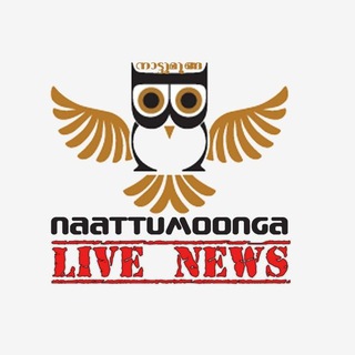 Логотип @nattumoonga - NM live NEWS