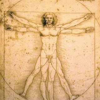 Логотип @natuerliche_heilung - Natürliche Heilung