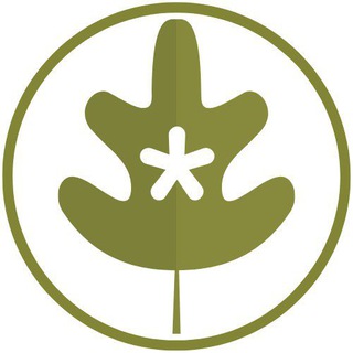 Логотип @naturalezayfauna - * Notas de Naturaleza